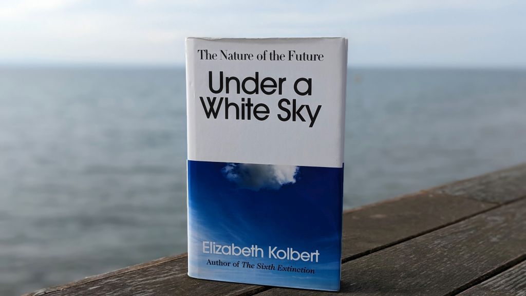 Beyond the Reach of Human&nbsp;Disruption