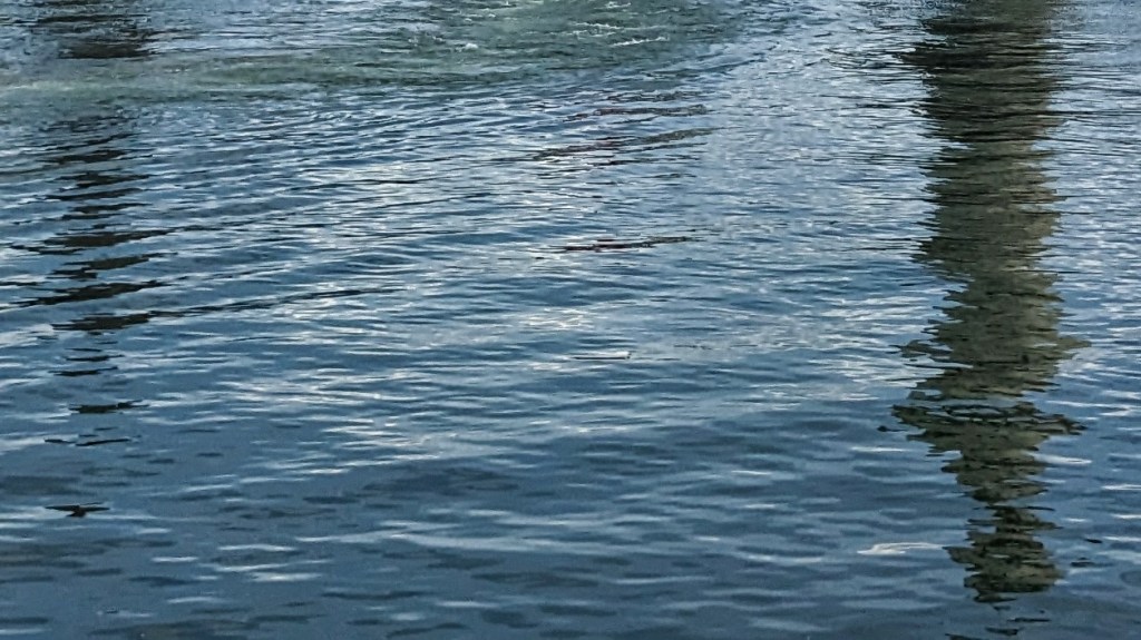 The Gaslight Anthem: Positive&nbsp;Charge